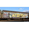 SBB Schiebewandwagen Hbbillns Graffiti Atscrew  Ep. V