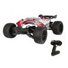 Z-10 Competition Truggy Brushless