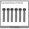 Cap Head Screw 4*45 (6)