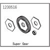 Hauptzahnrad mit Slipperplatten