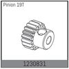 Motorritzel 19Z