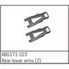 Rear Lower Arms (2)