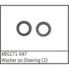 Steering Washer (2)
