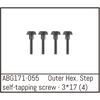 Outer Hex. Step Self-Tapping Screw M3*17 (4)