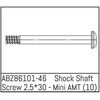 Shock Shaft Screw 2.5*30 - Mini AMT (10)