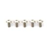 2.6x5mm Titan Screw (5)