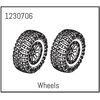 Roues complètes - Khamba (2)