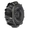 Dumont Paddle MTD on Black Wheels Moj ave F/R