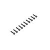 Vis CHC M2.5x10mm (10)