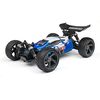 ION - Buggy Painted Body Blue ( XB)