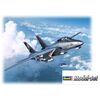 MS F-14D Super Tomcat