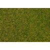 Fibres à saupoudrer Herbe sauvage Prairie d'été précoce 4 mm 1 kg