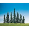 50 sapins nobles