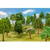 30 arbres à feuilles caduques