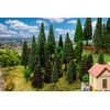 30 arbres de forêt mixte triés