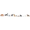 Chiens et chats