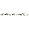 Vaches noir et blanc