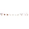 Poulets Canards et oies