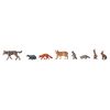Animaux dans la forêt