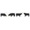Bovins Highland noirs
