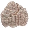 Ebauche de roche Dolomite