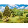 3 arbres PREMIUM assortis