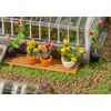 6 plantes en pot