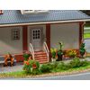 6 plantes en pot