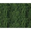Voile de feuillage vert foncé