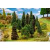 15 arbres de forêt mixte triés