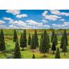 25 sapins petits assortis