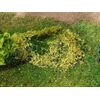 Feuillage vert pâturage