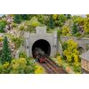 Portail du tunnel à 2 voies