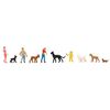 Hundesportverein Faller Q3 Neuheit