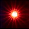 5 selbstblinkende LEDs, orange Faller Q3 Neuheit
