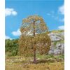 1 Premium Linde im Herbst