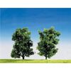 2 Eschen Top Serie 14cm