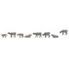 Vaches de montagne