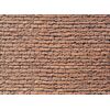Plaque de mur en calcaire coquillier