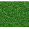 Matériel à saupoudrer vert maïs 30 g