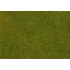 Fibres à saupoudrer PREMIUM Prairie d'été précoce 6 mm 30 g