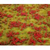 Segment de paysage PREMIUM Prairie fleurie rouge