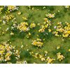 Segment de paysage PREMIUM Prairie fleurie multicolore