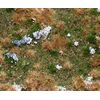 PREMIUM Landschafts-Segment  Waldboden