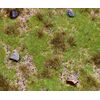 PREMIUM Landschafts-Segment  Wiese mit Findlingen