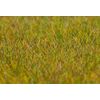 PREMIUM Streufasern Wiese  hellgrün  6 mm  30 g