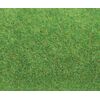 Tapis de terrain vert clair