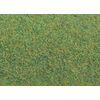 Tapis de terrain vert foncé