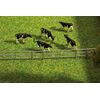 Boxen- und Laufhof-Zaunsysteme  936 mm (2 x 468 mm)