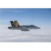 F/A-18 Hornet Tiger Meet 2016